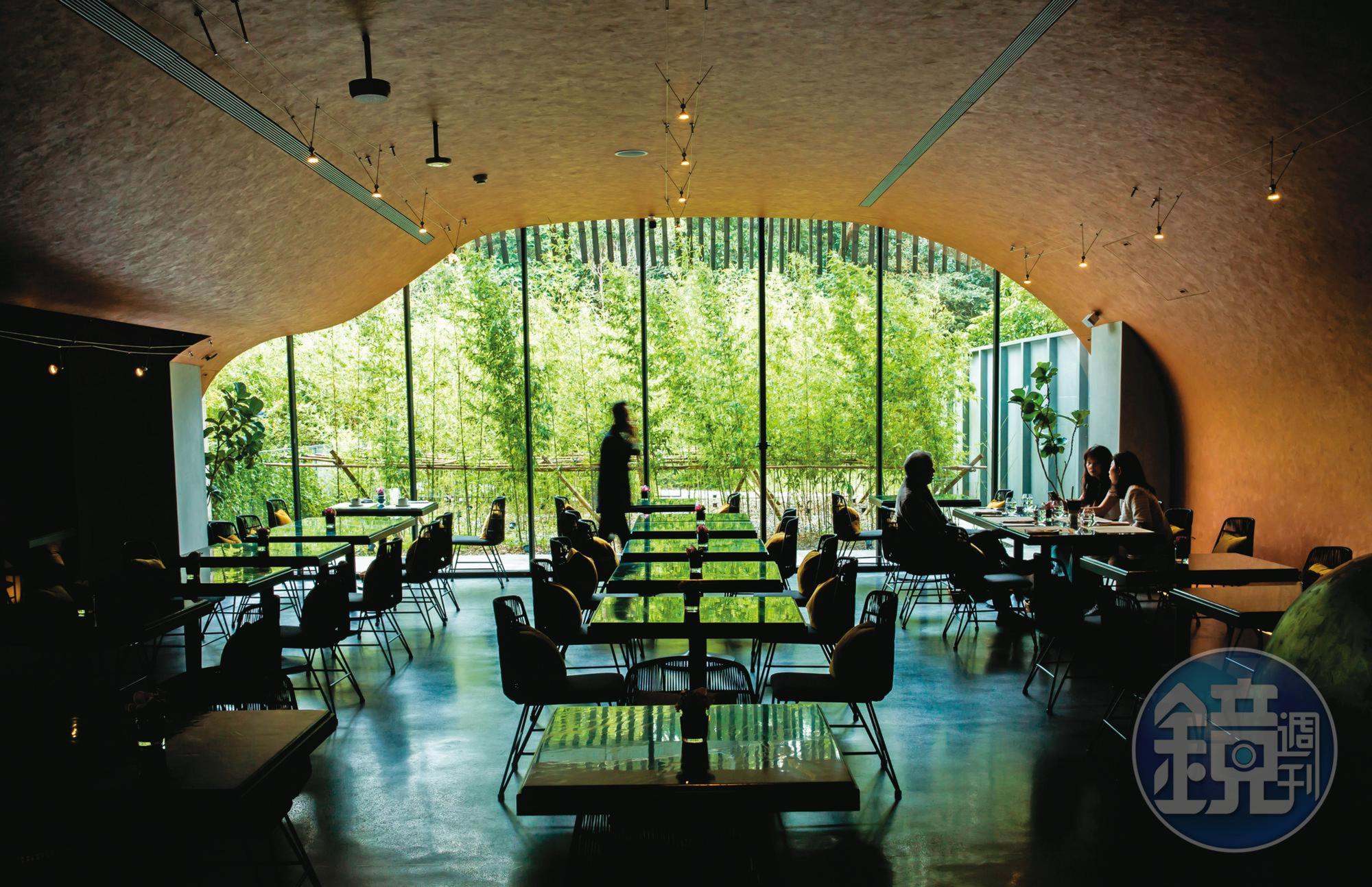 以洞穴為概念的餐廳habitat（棲息地），午後的自然光影下，散發緩慢舒適感。