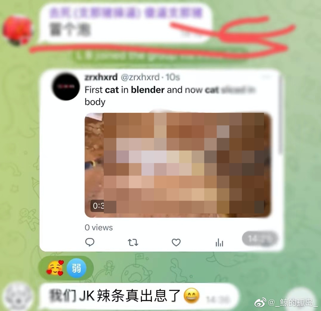 徐志輝再度虐貓。(翻攝自微博)