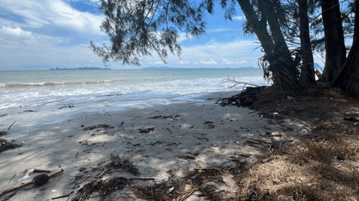 泰情侶愛如潮水，望向大海「後浪推前浪」！春宮影像曝光讓全民拳頭硬了。（翻自thethaiger.com）