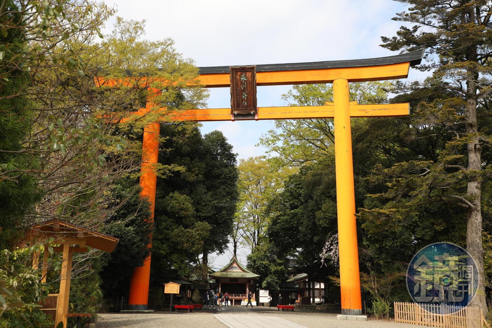 神社鳥居高達15公尺，看上去相當壯觀。