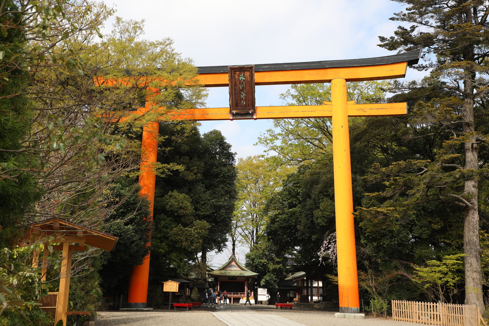 神社鳥居高達15公尺,看上去相當壯觀。