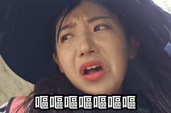 企鵝妹來台徒步環島，沿路遇到不少怪人，其中網友對於新竹2位關鍵人物最為感冒。（翻攝自網路）