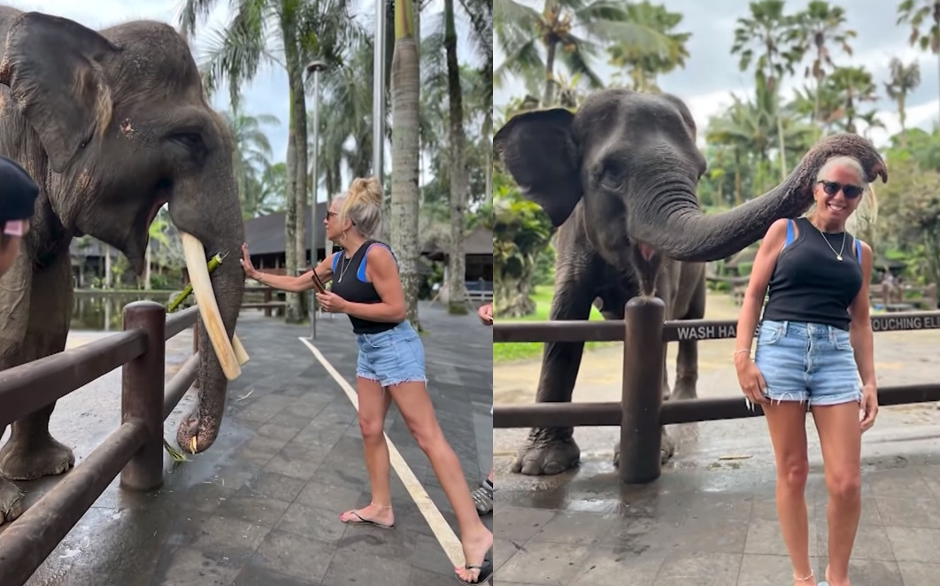 美國遊客貝絲入住峇里島大象野生動物園旅館，開心與大象合照。（翻攝YT頻道CBS Philadelphia）