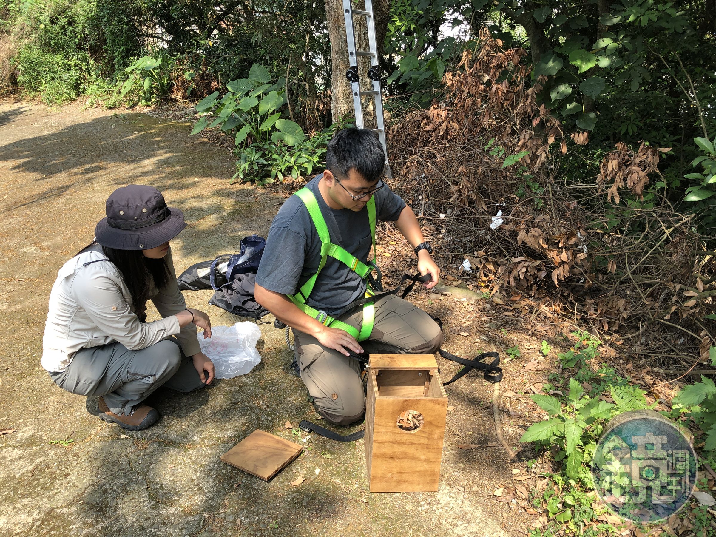 整裝架設巢箱。（新北動保處提供）