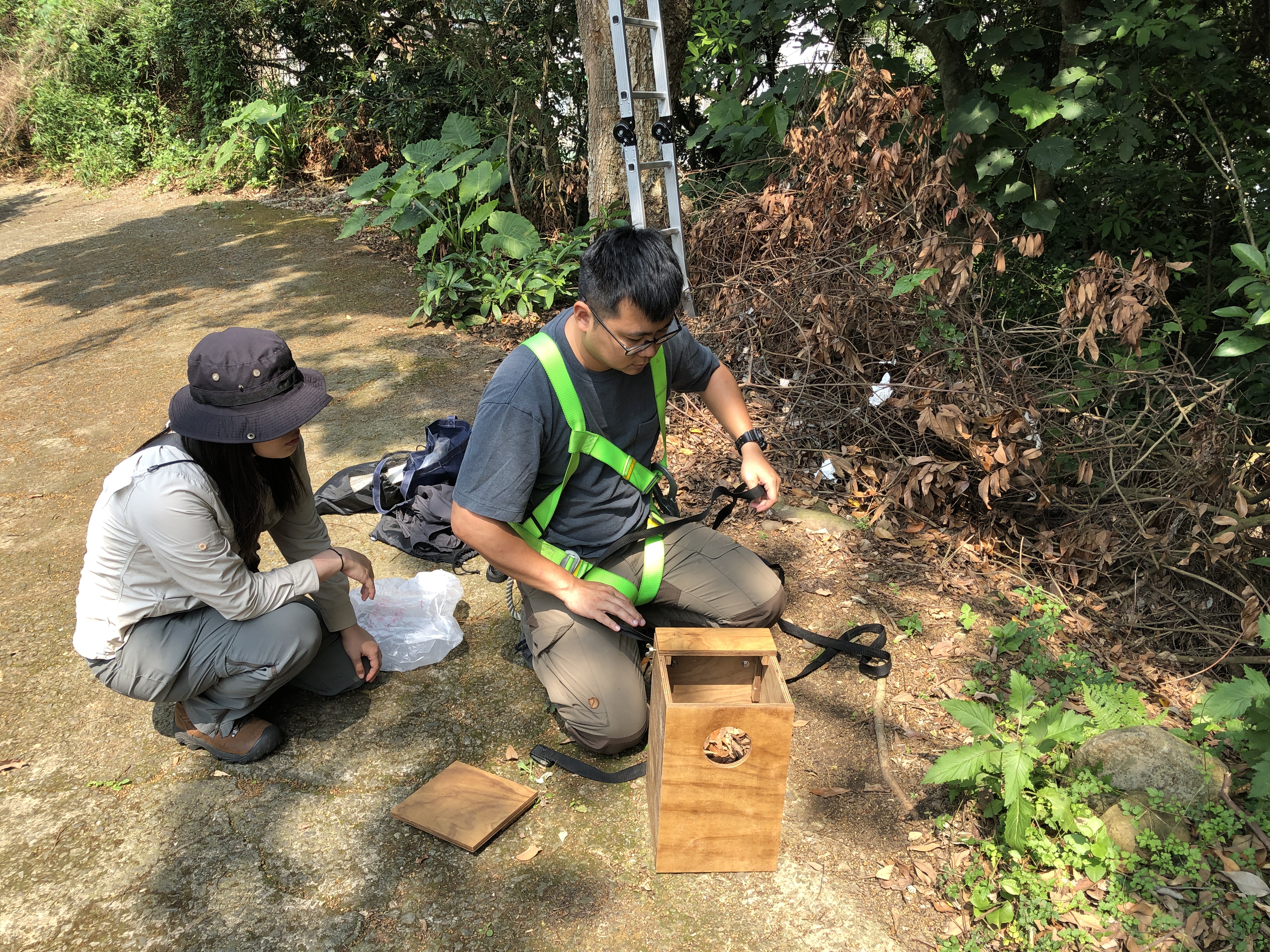 整裝架設巢箱。（新北動保處提供）