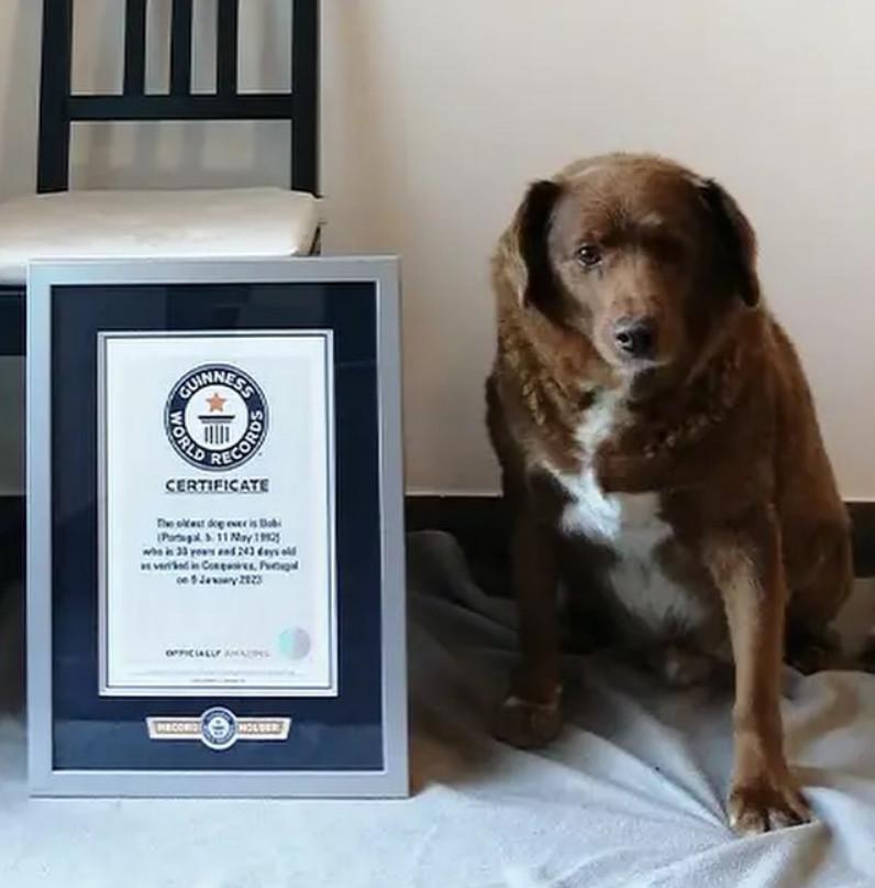 波畢現在體力和視力都衰退,常在庭院散步。(翻攝臉書粉專「Guinness World Records」)