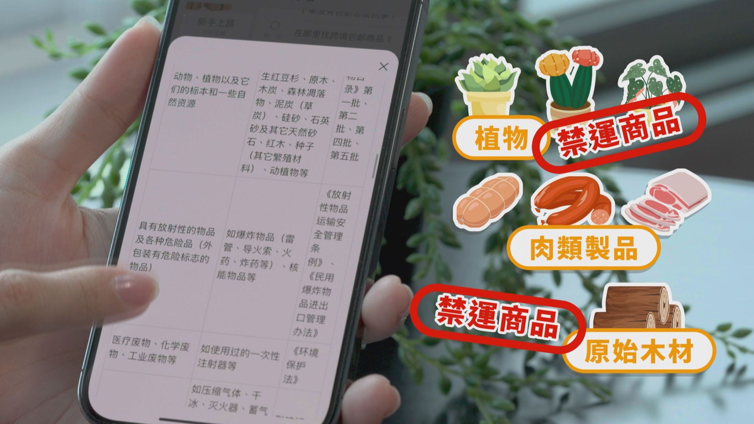 「植物」、「肉類製品」和「原始木材」都屬禁運商品!不但會被海關沒收、還會面臨鉅額罰款,切勿下單!