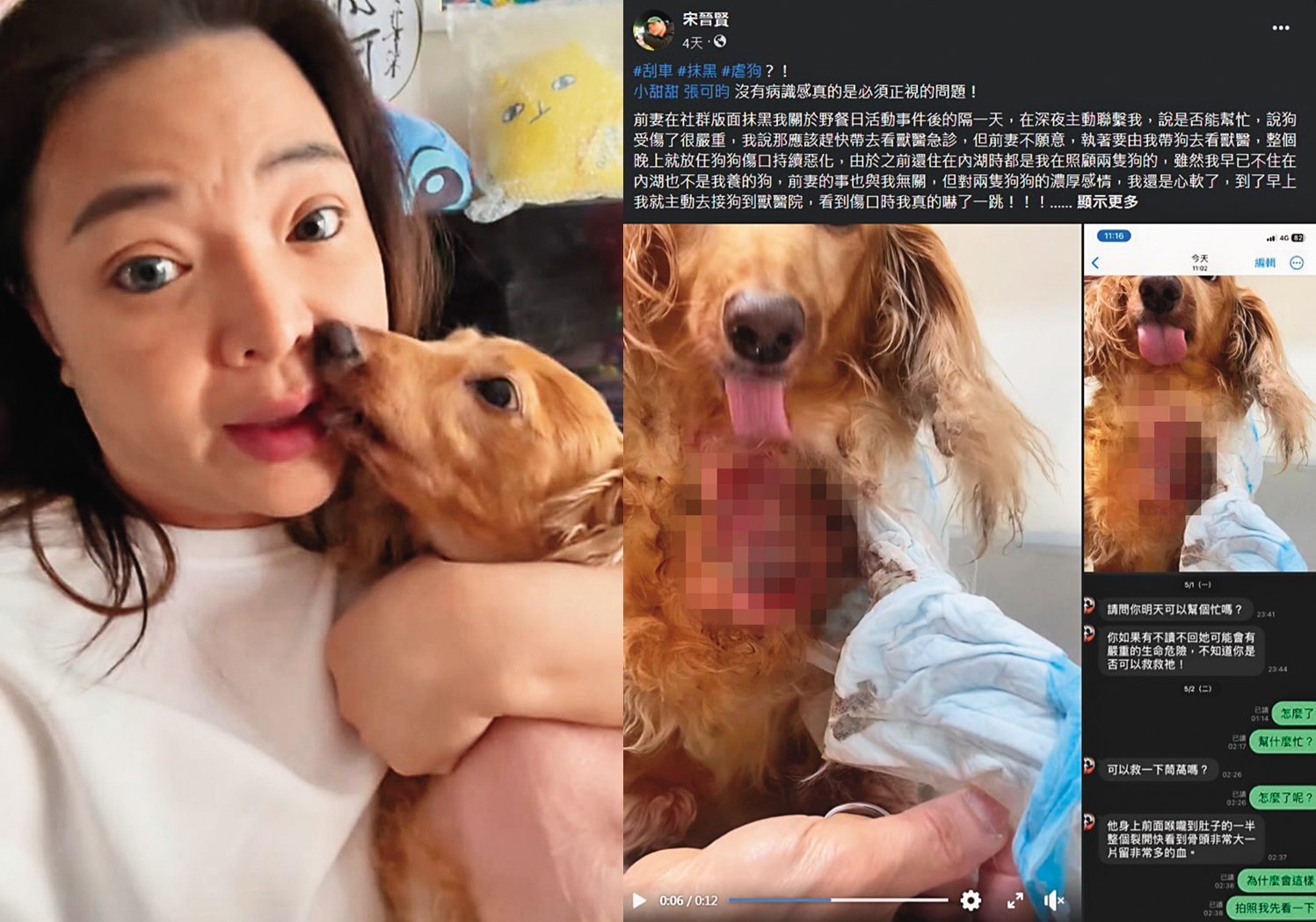 小甜甜（左）抱著愛犬開直播，澄清狗狗沒受傷。宋晉賢則在臉書貼出狗狗大面積傷口照片（右），怒批前妻小甜甜疑似虐狗。（翻攝自小甜甜、宋晉賢臉書）