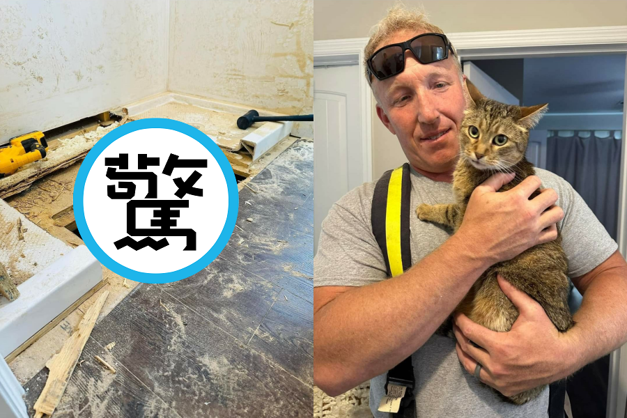 美國一隻貓咪在裝潢時跑到地板下面去,竟然意外被封住了。(翻攝自Town of Surf City Fire Department臉書)