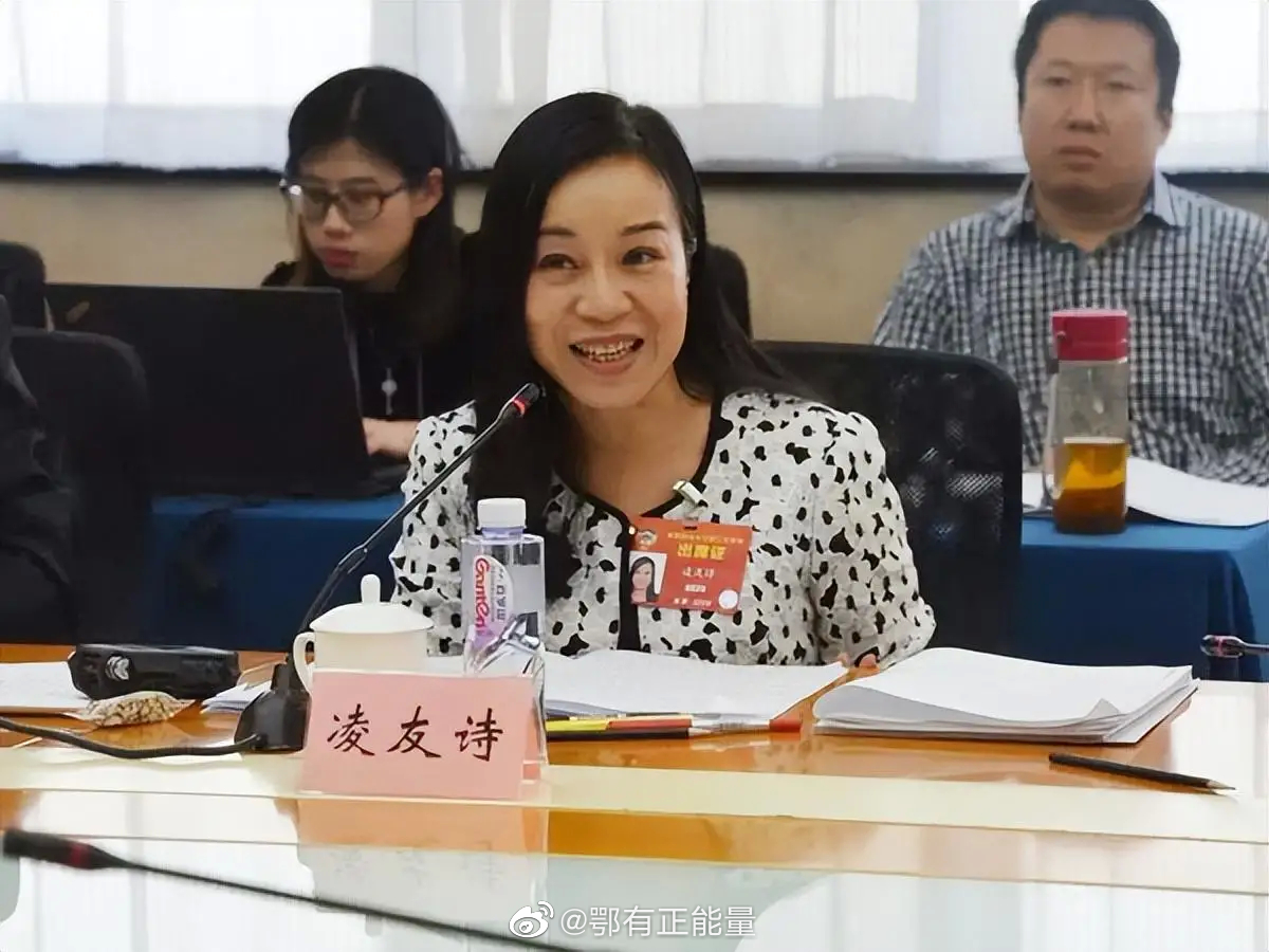 凌友詩因擔任中共人大涉違反《兩岸條例》遭罰50萬元，她反嗆拒繳。（翻攝自微博＠鄂有正能量）