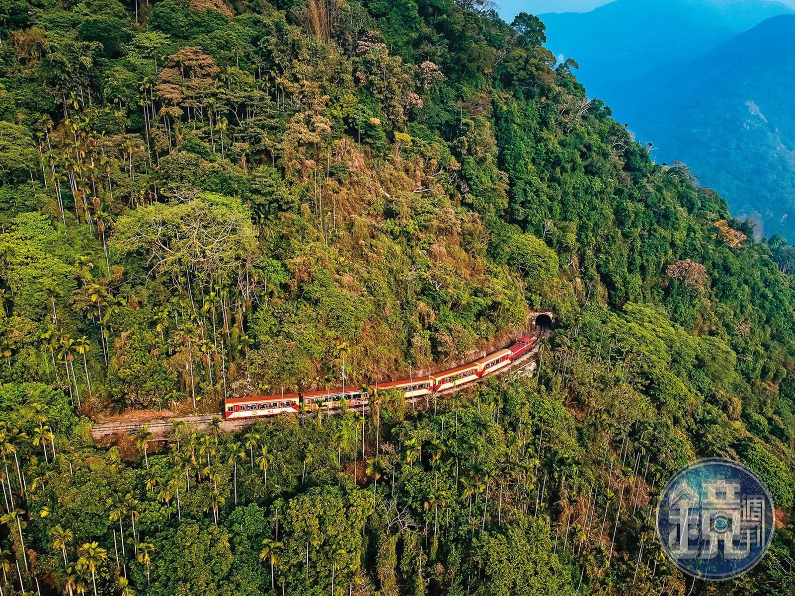 搭林鐵上阿里山的三種玩法！到奉天岩自己當大廚、品嘗躲在雲海裡的無毒