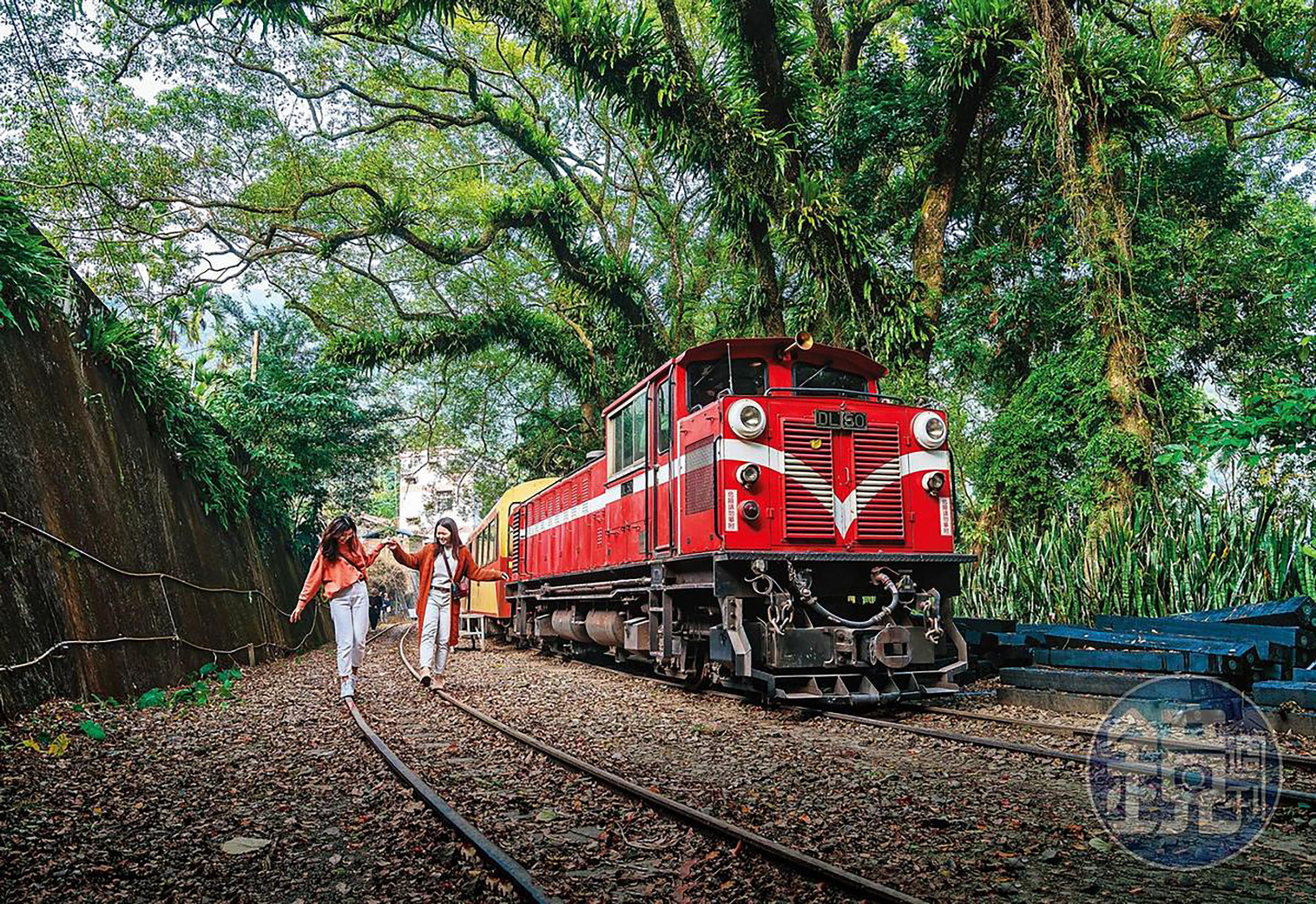 阿里山是台灣著名的百年鐵道，沿線除了風景秀麗，循著鄰近小站遊玩也能發現阿里山蘊藏著豐富物產與迷人故事。