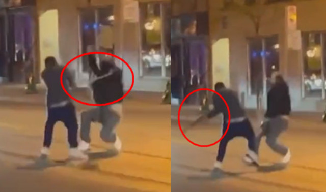 加拿大一名男子阿維拉與路人爭執，竟拿寵物蛇當鞭子狠抽對方。（翻攝推特@crazyclipsonly）