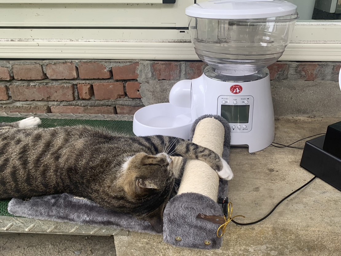 「貓抓餵食器」是一款讓貓邊吃飯邊運動的發明，日前在日本東京創新天才國際發明展獲得金獎。（中華創新發明學會提供）