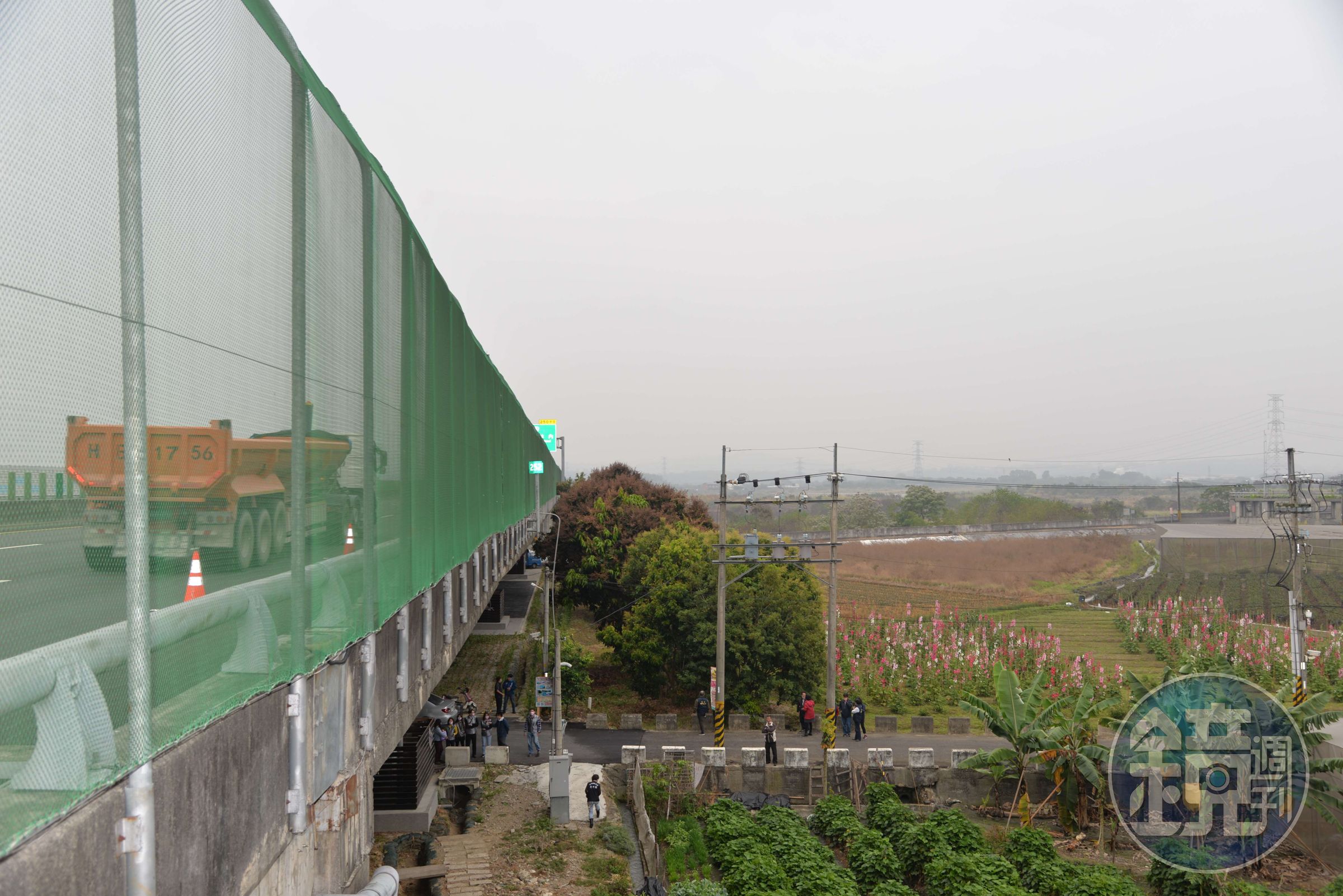配合每年春天紫斑蝶北返棲地啟動「國道讓蝶道」機制，並在高速公路邊架設防護網。（翻攝自雲林縣政府網站）