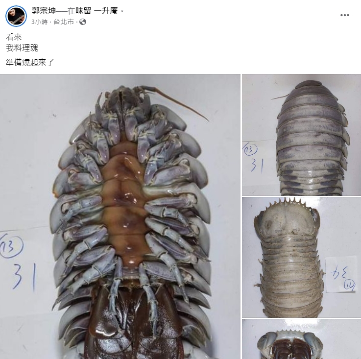 郭宗坤入手近日網路爆紅的大王具足蟲，並曬出清楚的翻身照片。（翻攝自郭宗坤臉書）