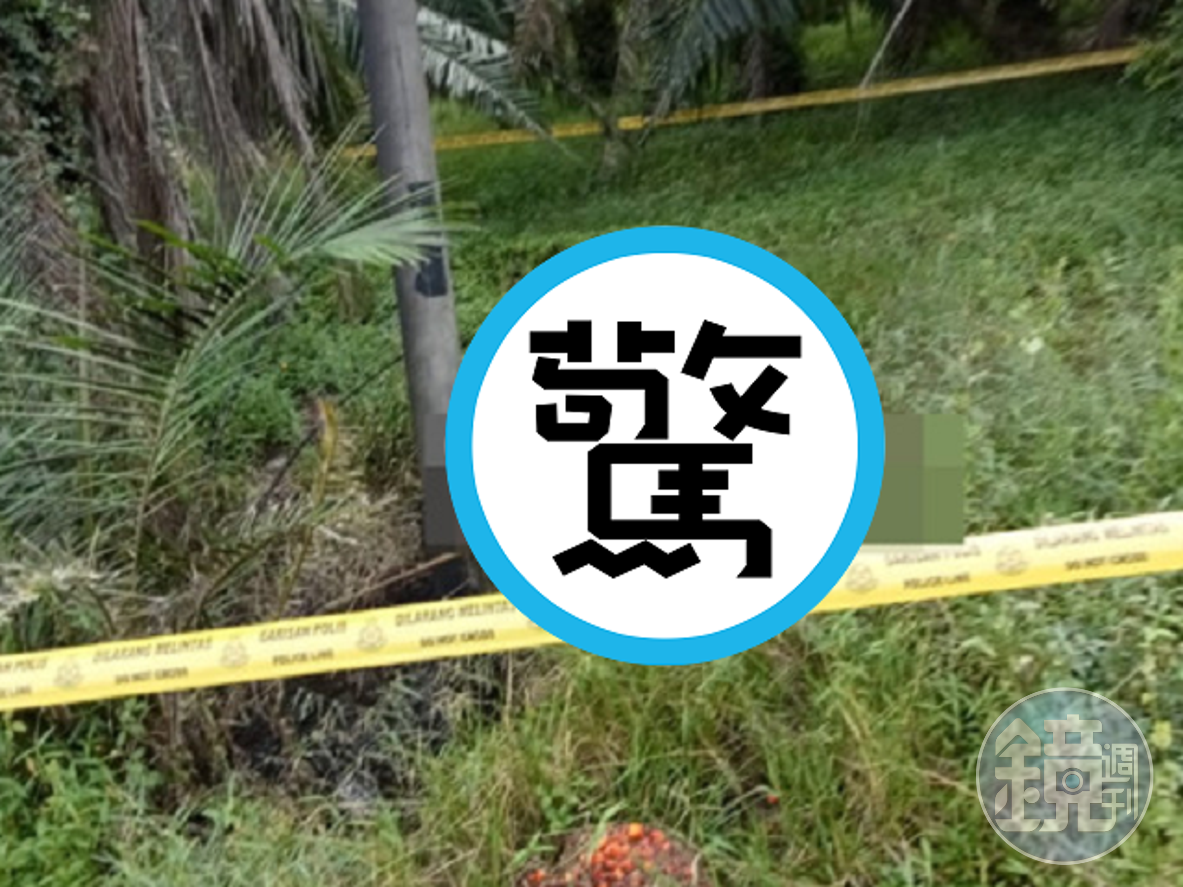 恐怖情人不只射後不理,懷孕女友被他狠殺剖肚取嬰!還遭焚屍死狀悽慘。(翻自《中國報》)