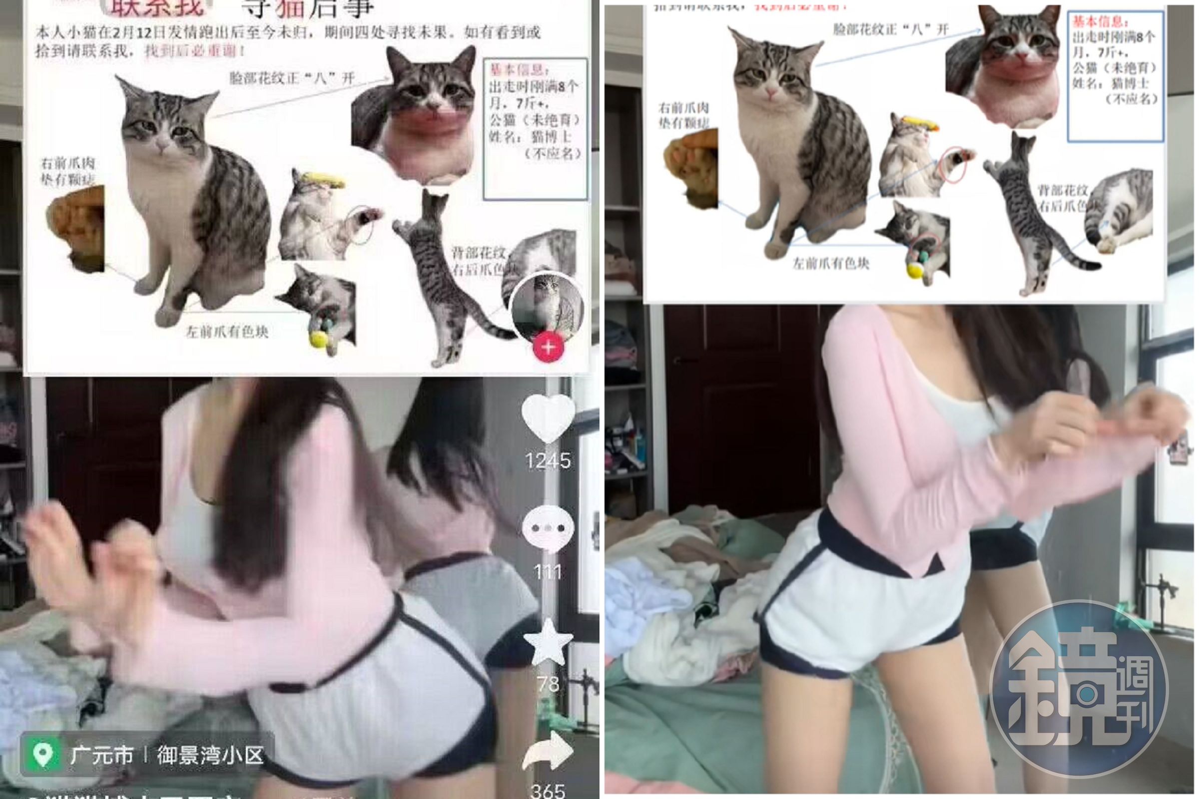 寵物走失沒人理,正妹出來協尋就是狂!釣出一堆老司機關注。(翻自微博)