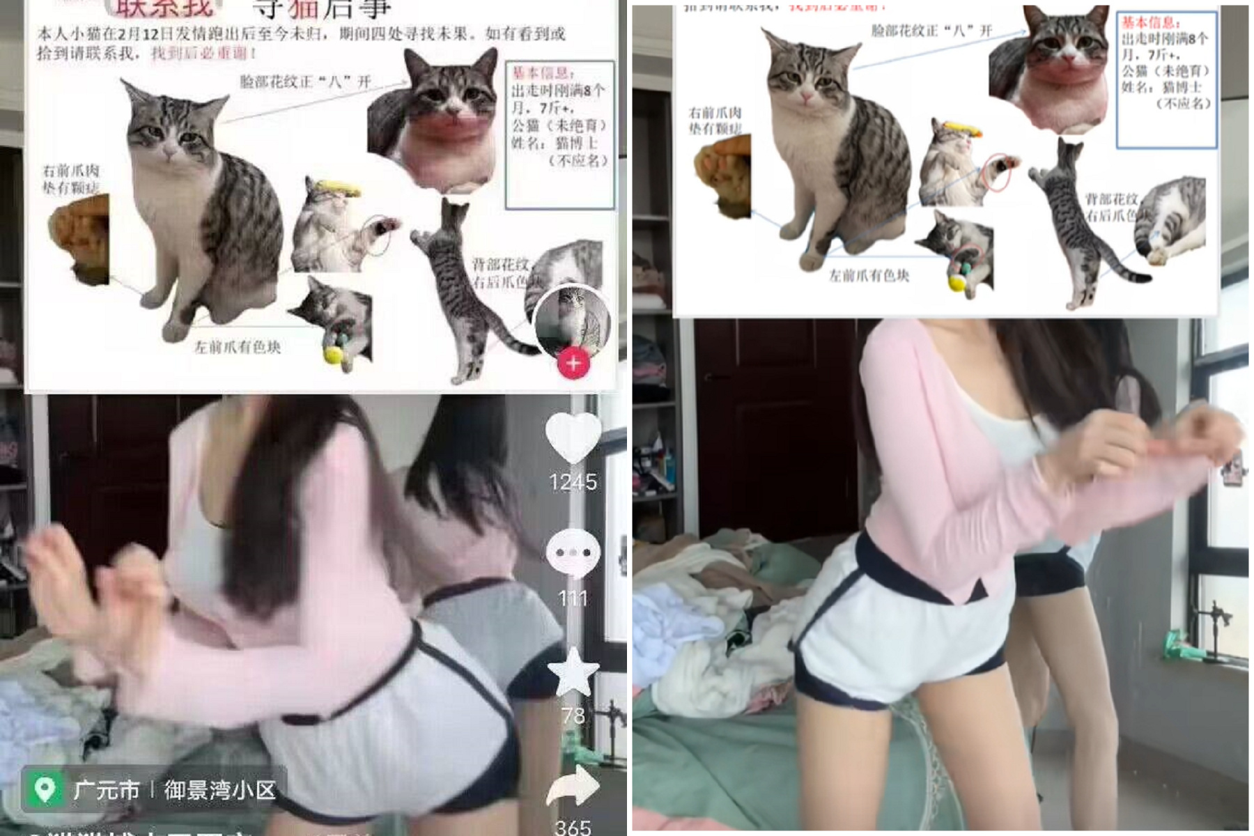 寵物走失沒人理，正妹出來協尋就是狂！釣出一堆老司機關注。（翻自微博）