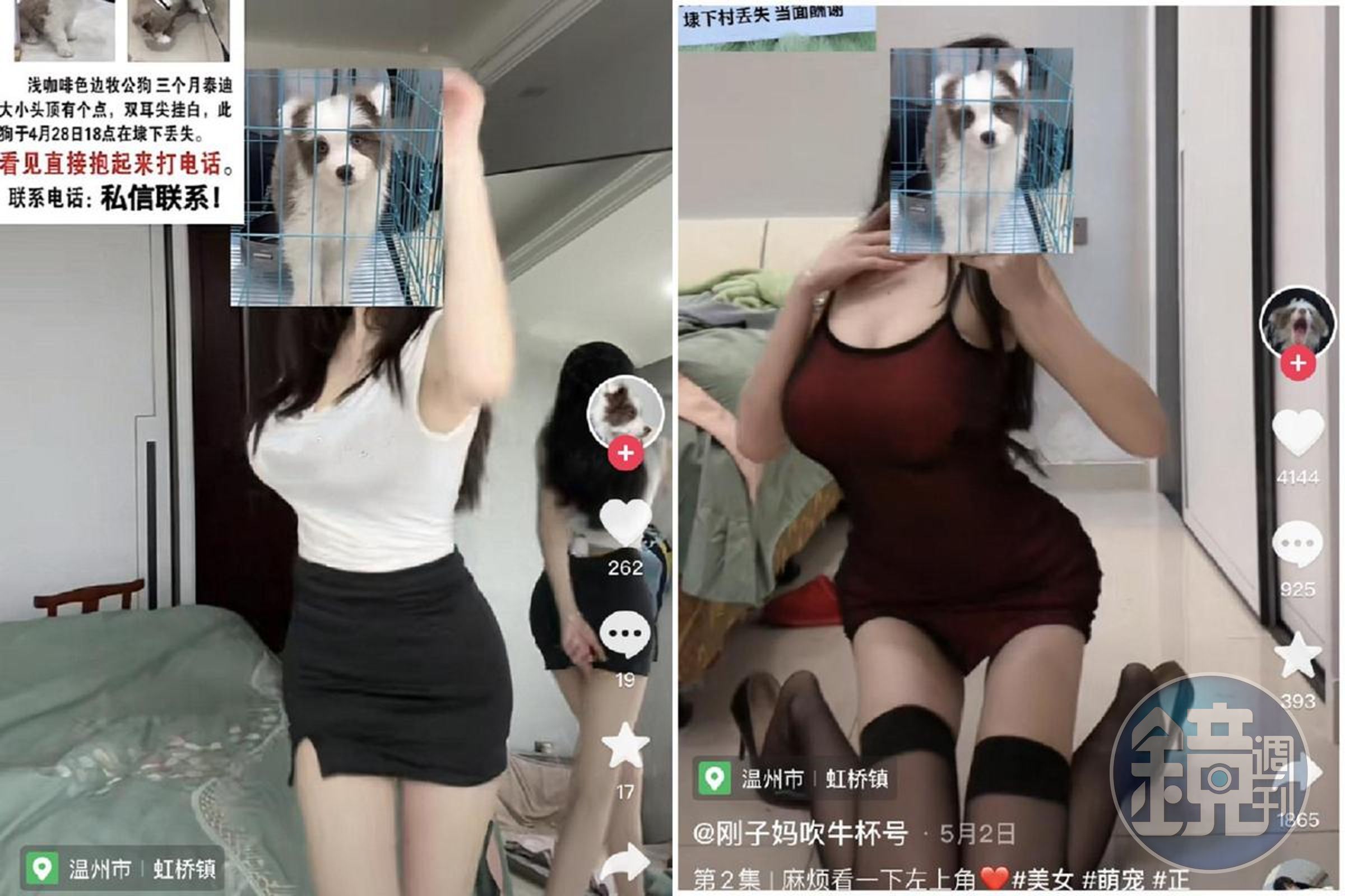 網友先前用此招,成功找回狗狗。(翻自微博)