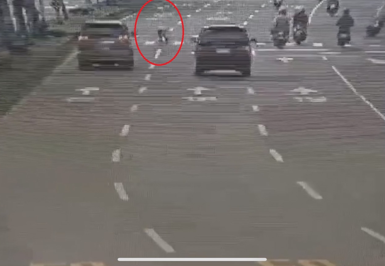 蕭女（紅圈）闖紅燈穿越馬路，遭內側轎車不慎撞上身亡。（翻攝畫面）