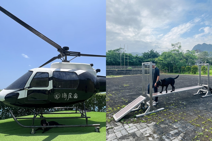 Emma近日前往外地訓練,一開始還躲在直升機下,隨後馬上表現出專業模樣。(翻攝自「Tyfd-K9桃園搜救犬隊」臉書)