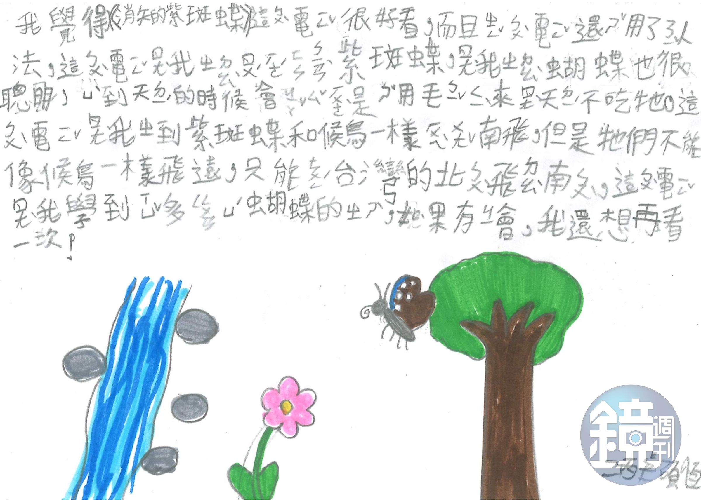 小學生透過大螢幕看見紫斑蝶一生充滿奇幻的旅程，觀影後的心得圖文並茂，純真動人。（牽猴子提供）