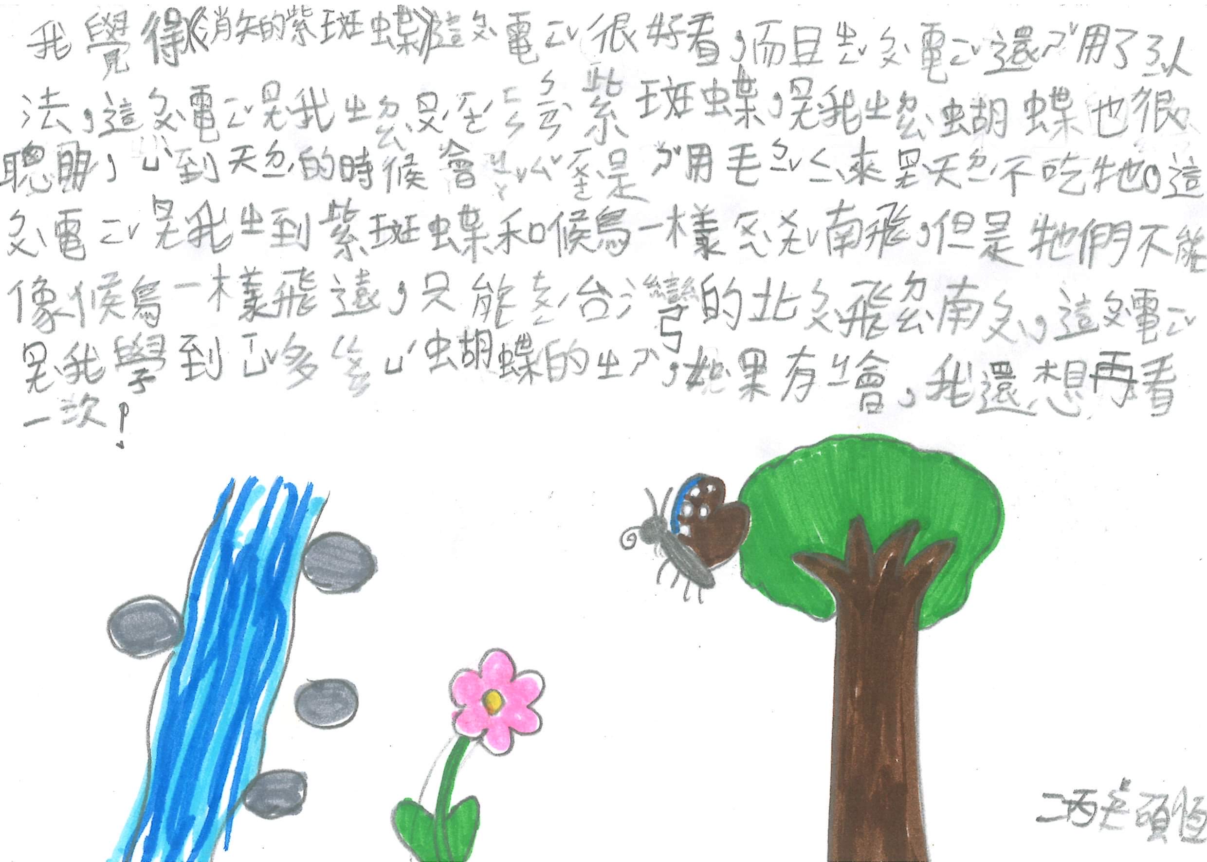 小學生透過大螢幕看見紫斑蝶一生充滿奇幻的旅程，觀影後的心得圖文並茂，純真動人。（牽猴子提供）