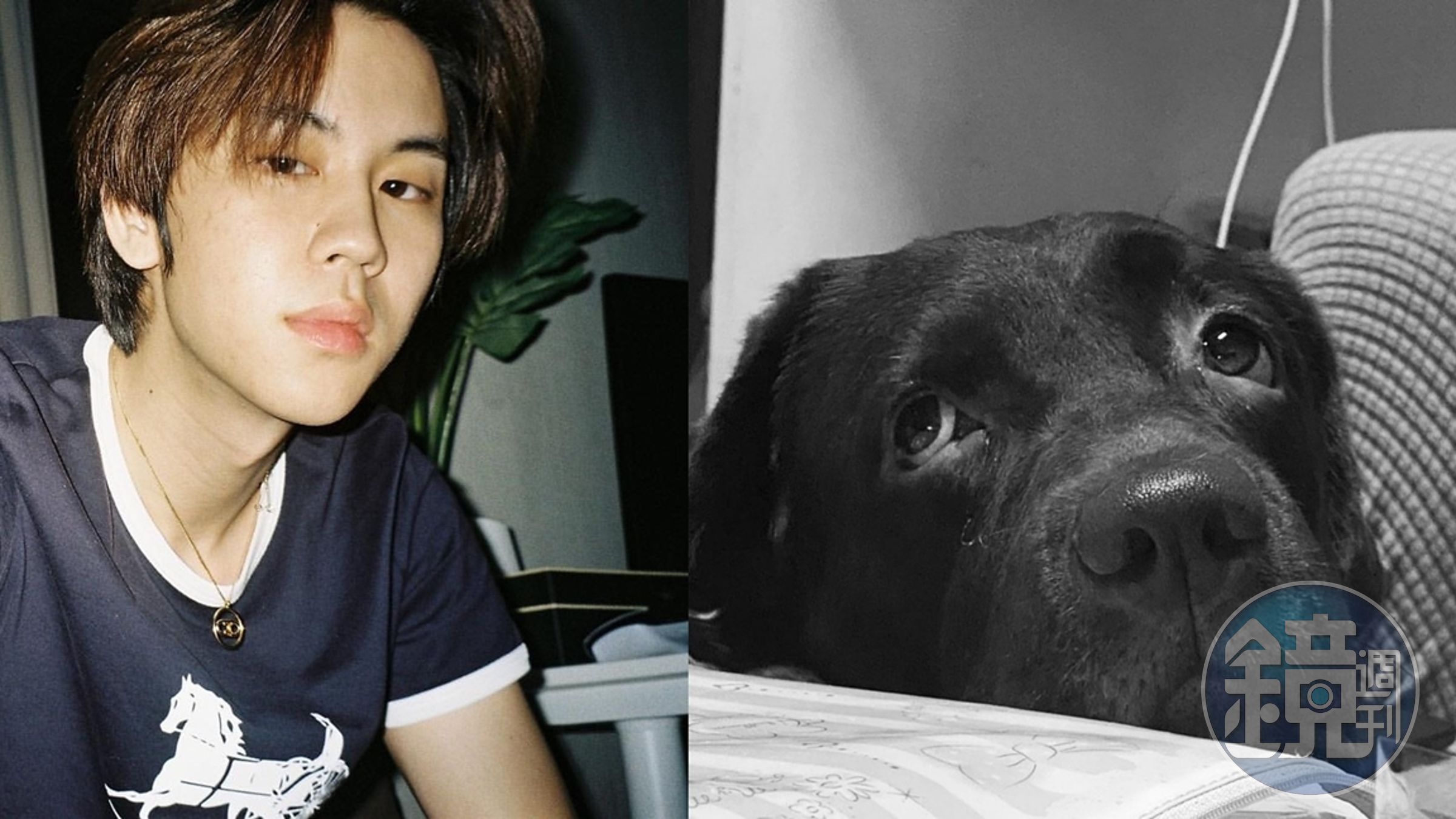 泰星Prem痛失愛犬「卡卡」,他發長文紓發對Gaga的思念。(翻攝Prem ins)