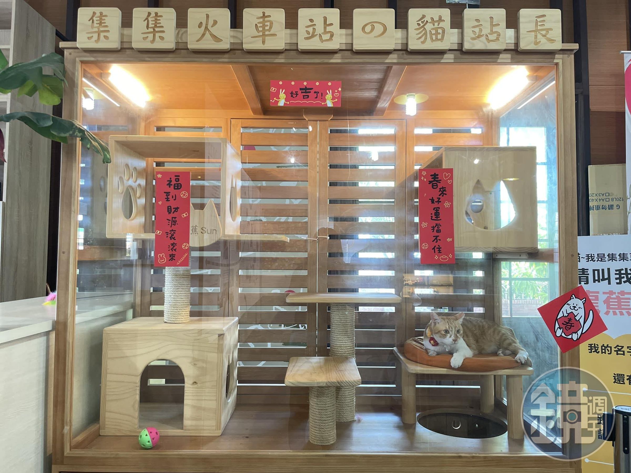 「龍蕉sun」在集集火車站內有專屬的休憩空間。（翻攝自臉書集集jiji x 貓站長_龍蕉sun）