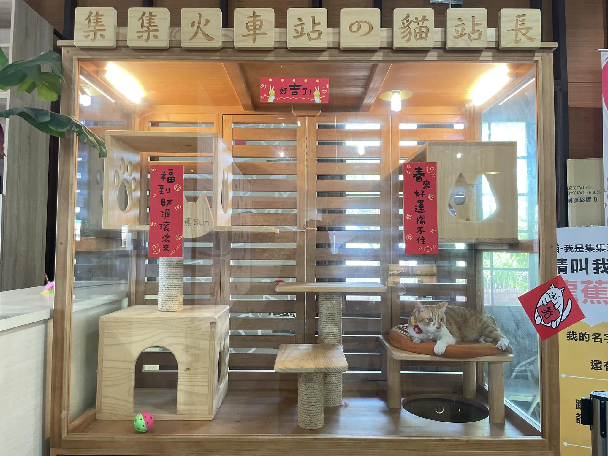 「龍蕉sun」在集集火車站內有專屬的休憩空間。（翻攝自臉書集集jiji x 貓站長_龍蕉sun）