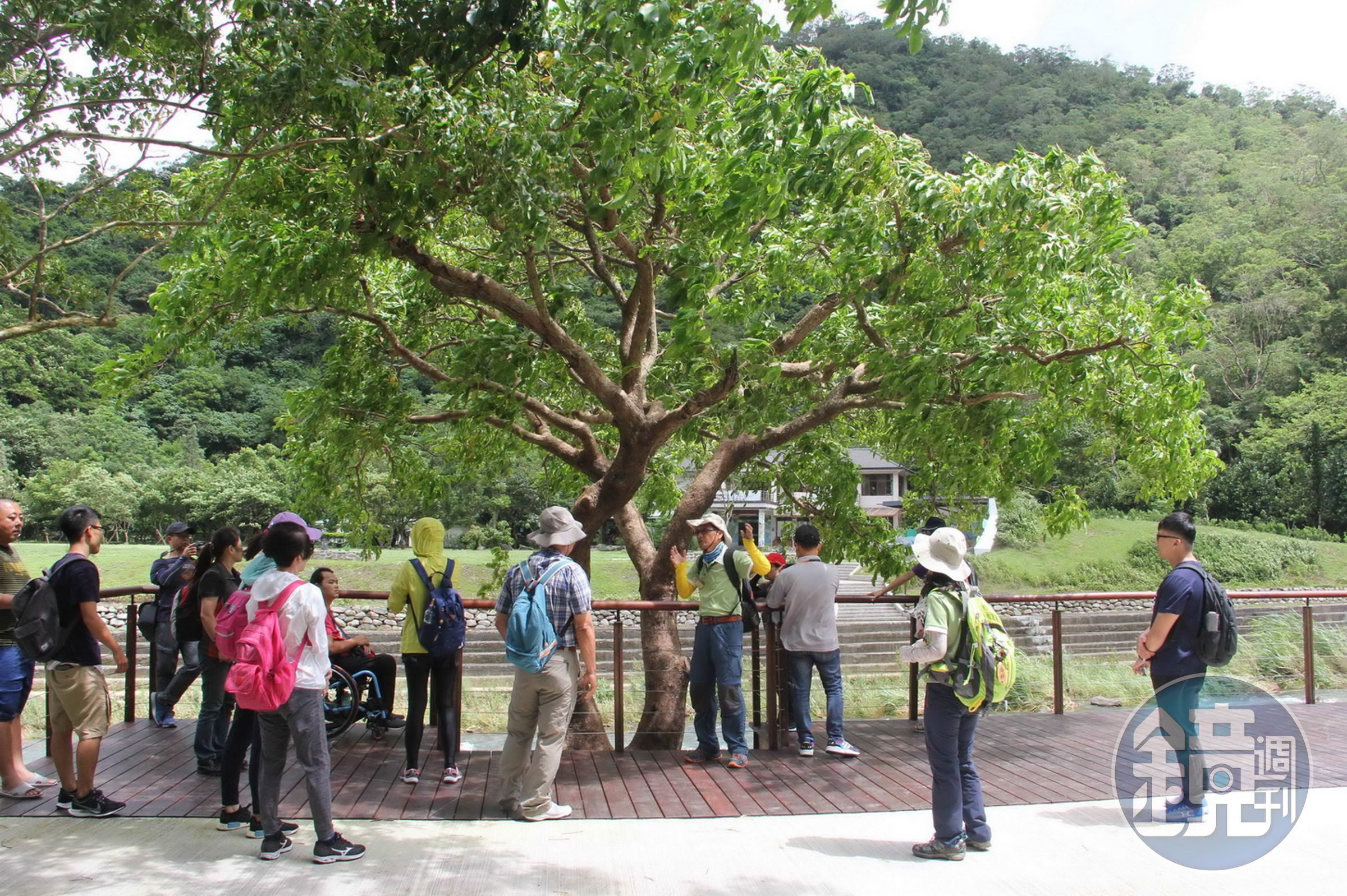 雙流國家森林遊樂區無障礙景觀平台及步道。(林務局提供)