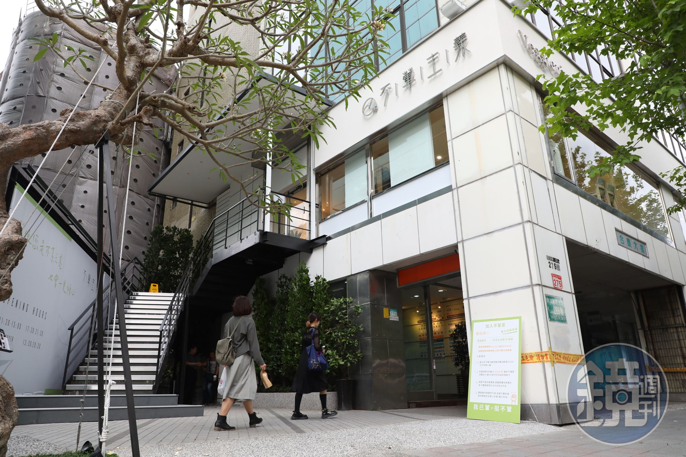 夏季時分，斯里蘭卡原生種雞蛋花樹在南京東路上盛開。