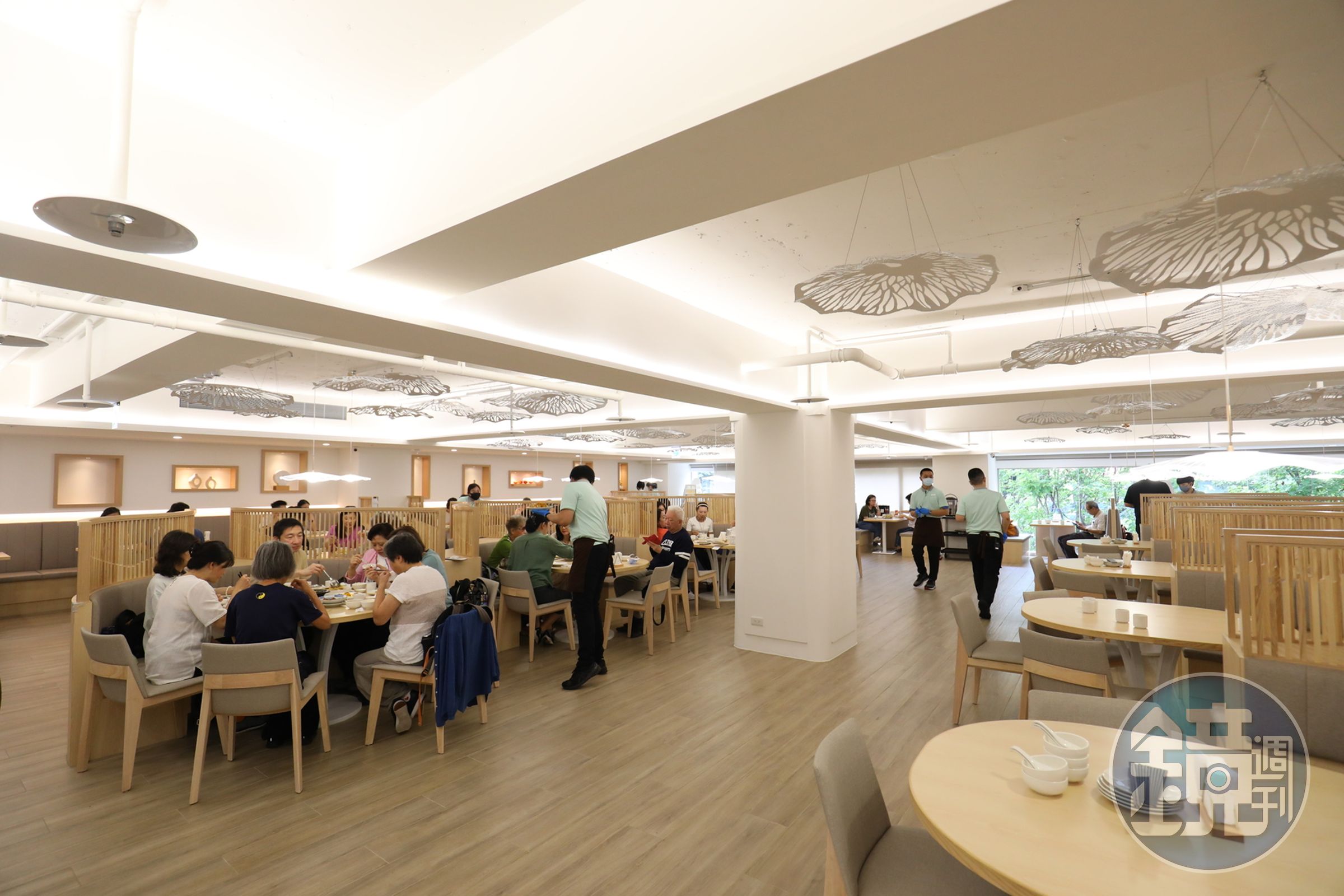 溫暖木質用餐空間，簡潔舒適。