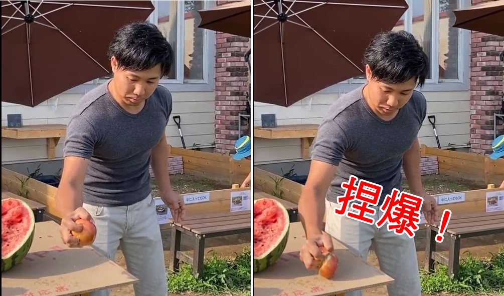 日本的爬蟲動物館推出「館長捏爆蘋果」的動物餵食服務，大受歡迎。（翻攝深谷爬虫類館 推特）