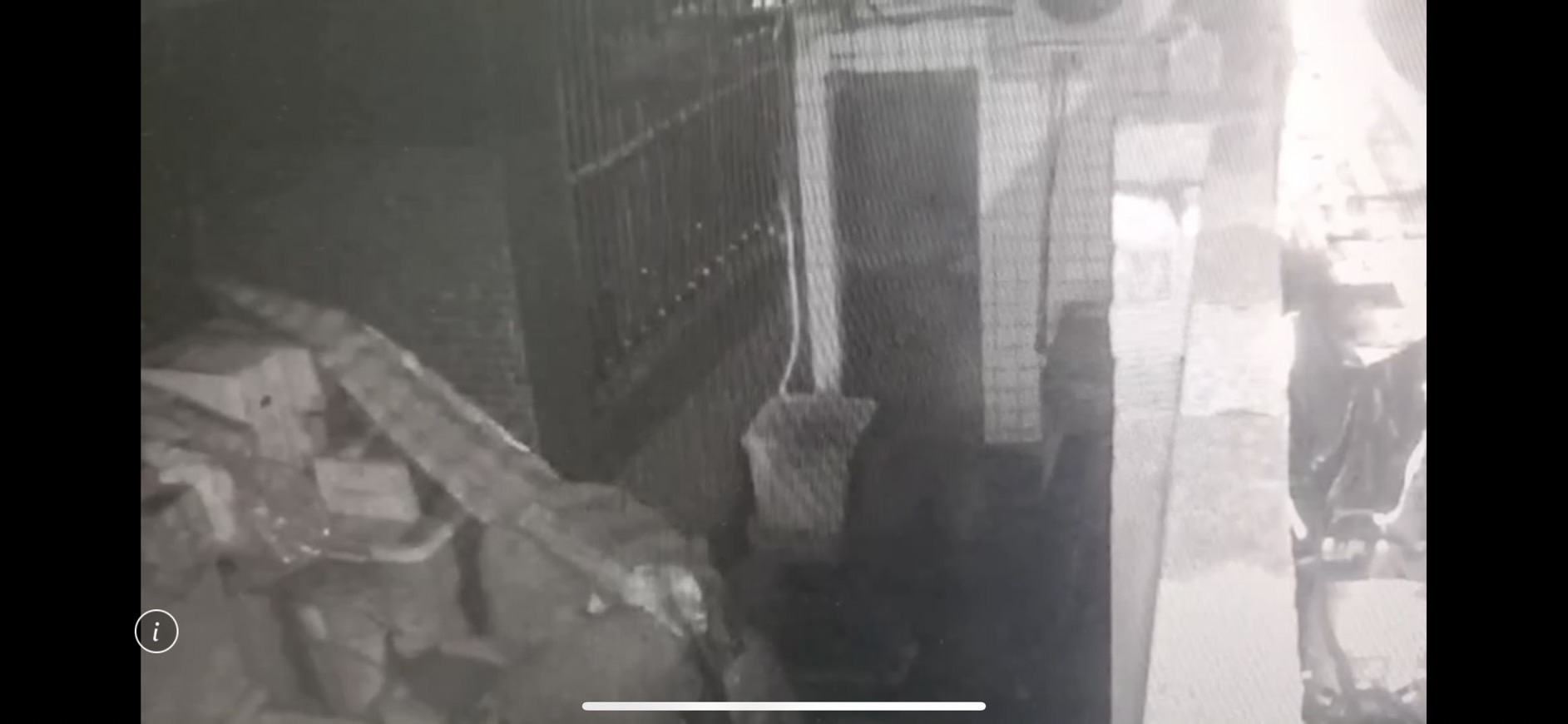 黃男與周男翻開帆布，翻找值錢物品裝箱偷走。（翻攝畫面）