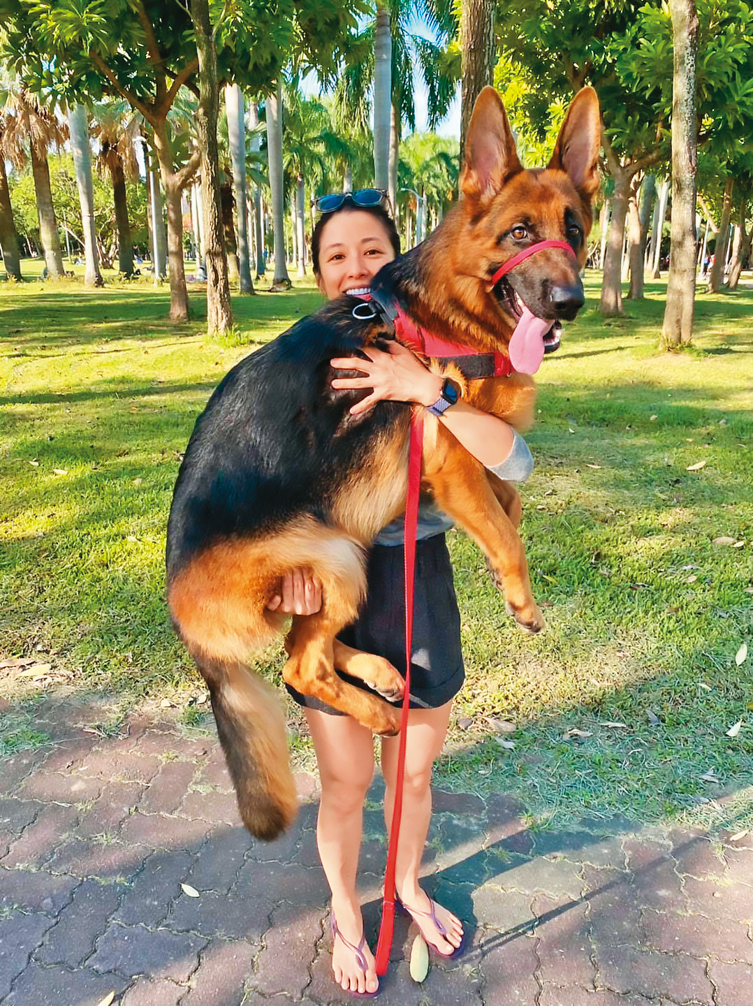 Wolfy已經3歲了，對李蒨蓉的抱抱，牠非常享受。（翻攝自李蒨蓉臉書）