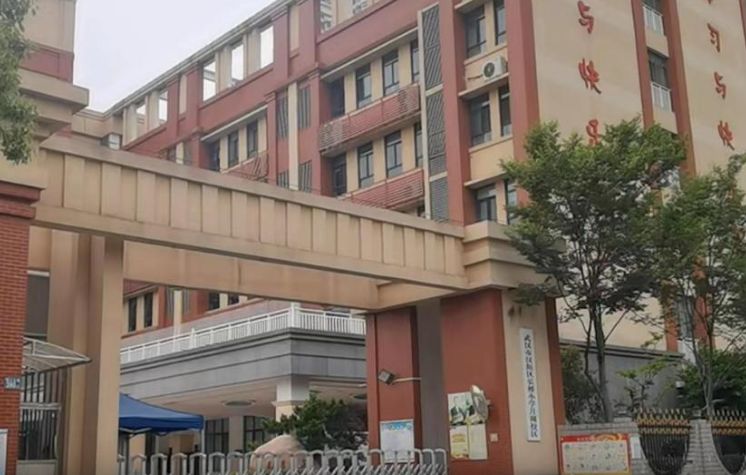 一名男童在校期間，於老師倒車時被輾撞身亡，母親在男童頭七當天也過世。（圖翻攝自微博）