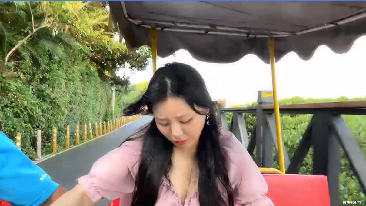 男子趁機靠近吳希維莉，並疑似企圖猥褻。（翻自bj.afreecatv.com）