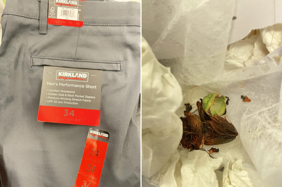 一名網友在好市多買短褲卻發現口袋有「驚喜」，一挖竟發現是個新鮮的檳榔渣。（翻攝自臉書《Costco好市多 商品經驗老實說》）