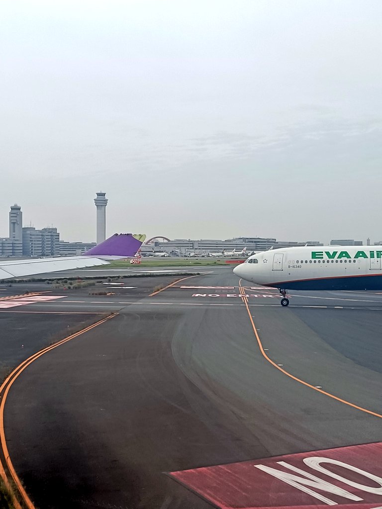長榮航空班機上午在羽田機場，遭泰航班機觸碰，目前正配合日方調查中。（翻攝自推特）