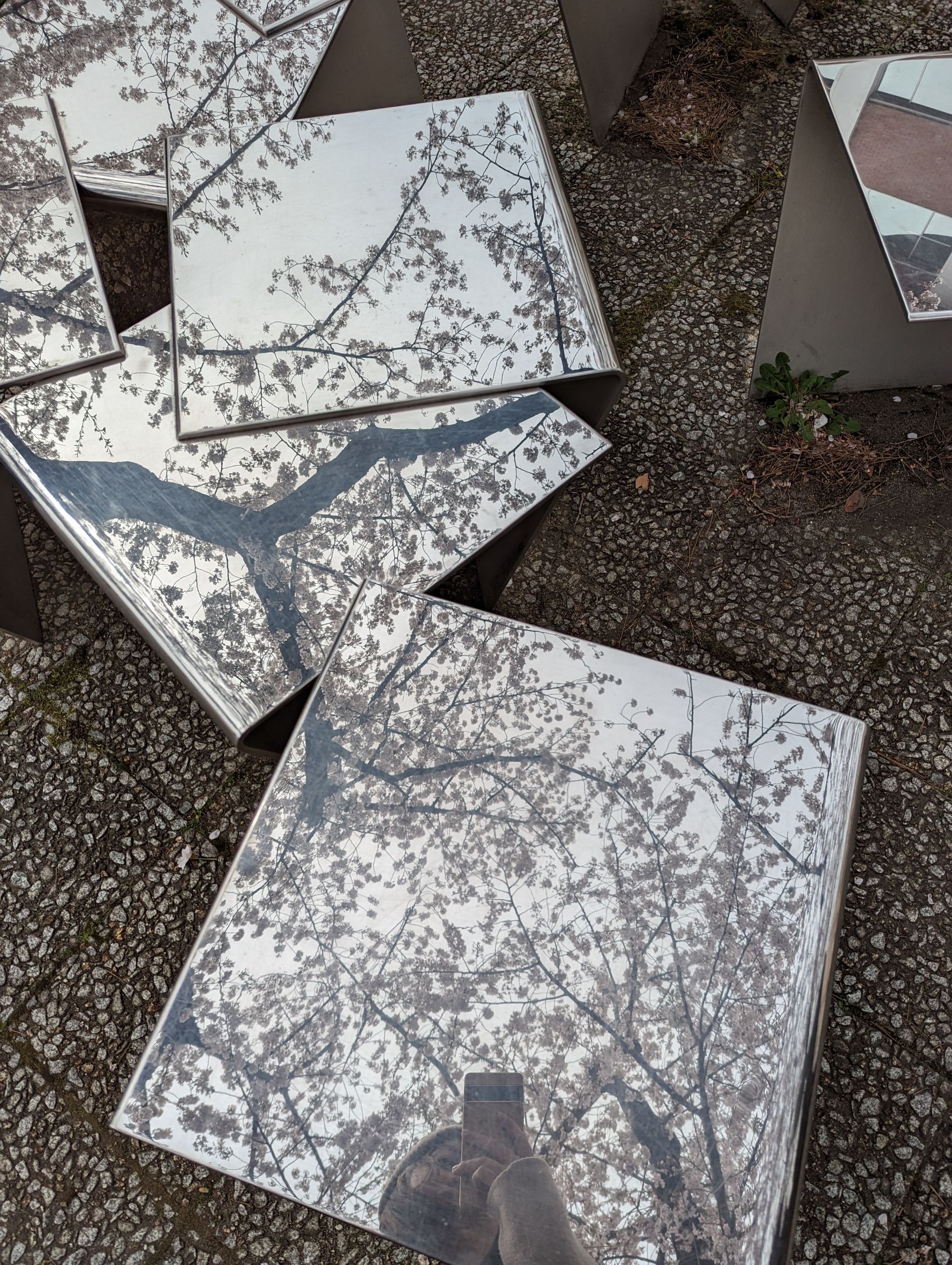 富士山建築師工作室作品《in flakes》是一張會反射季節美景的長椅。