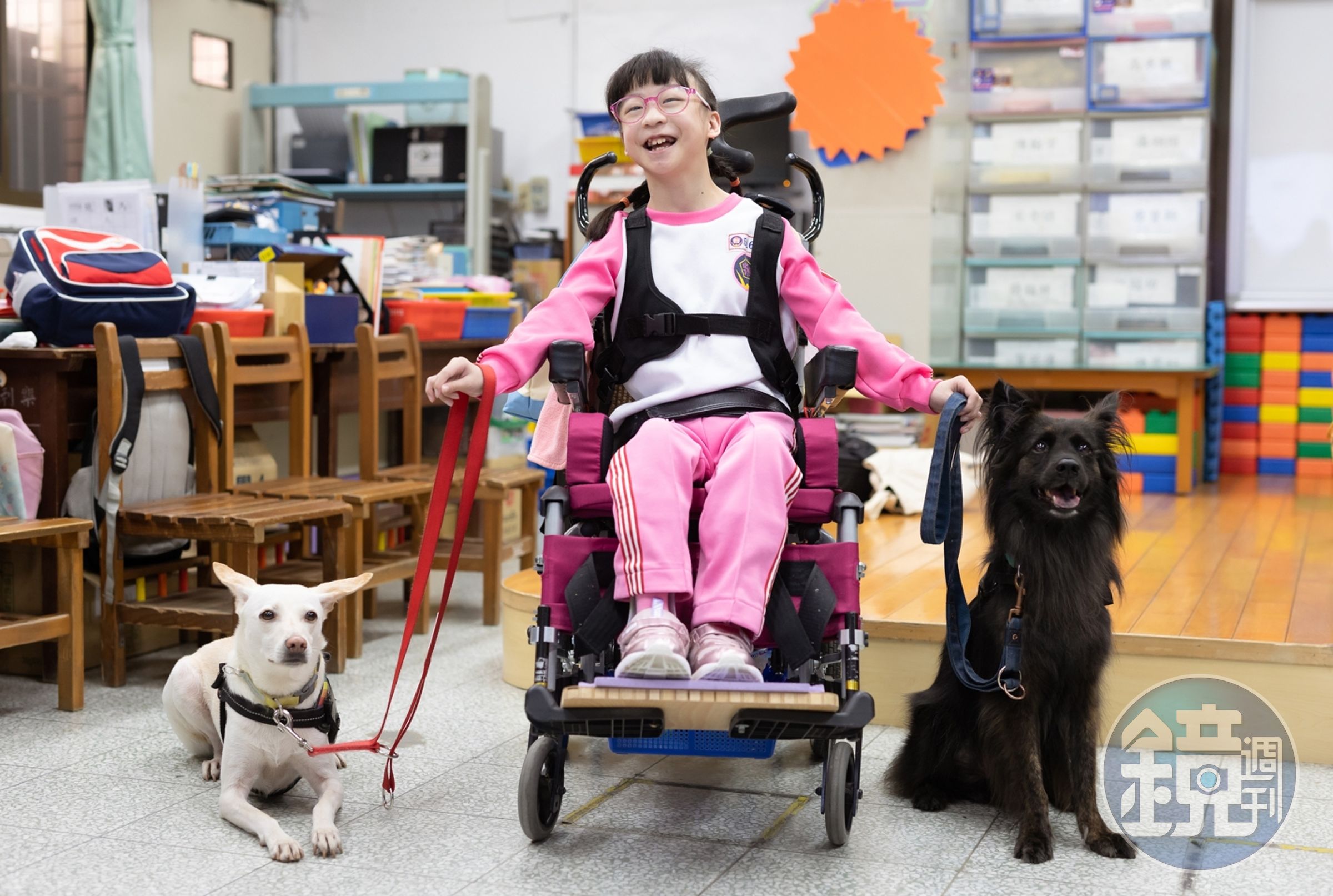 在心輔犬的陪伴下,一位腦性麻痺的小女孩,原本從只能走2公尺,變成走20公尺。(慈濟基金會提供)