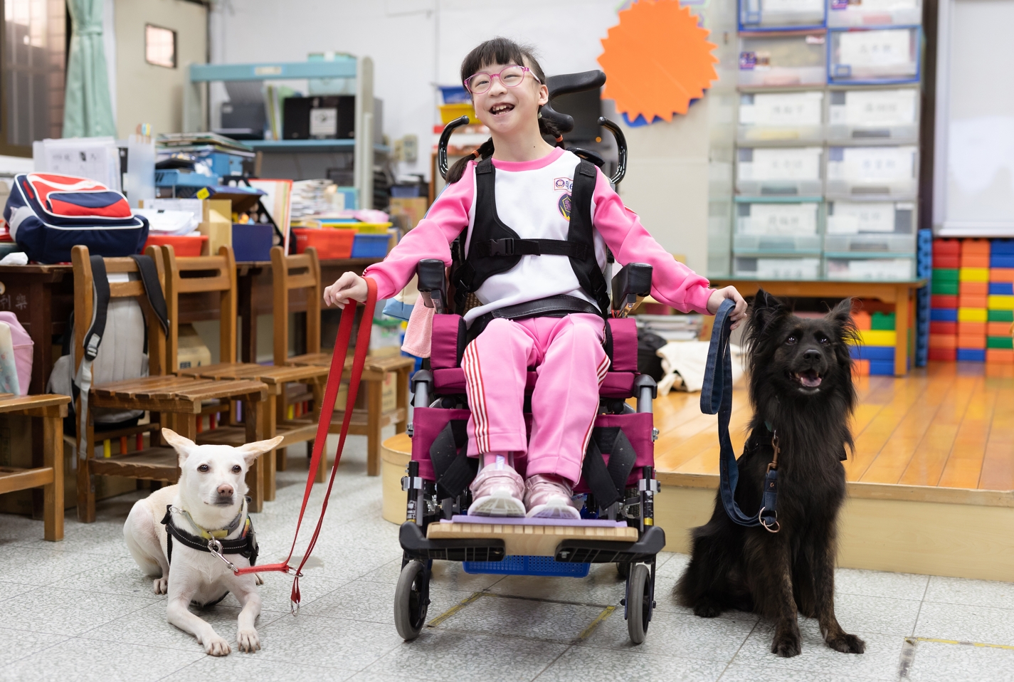 在心輔犬的陪伴下，一位腦性麻痺的小女孩，原本從只能走2公尺，變成走20公尺。（慈濟基金會提供）