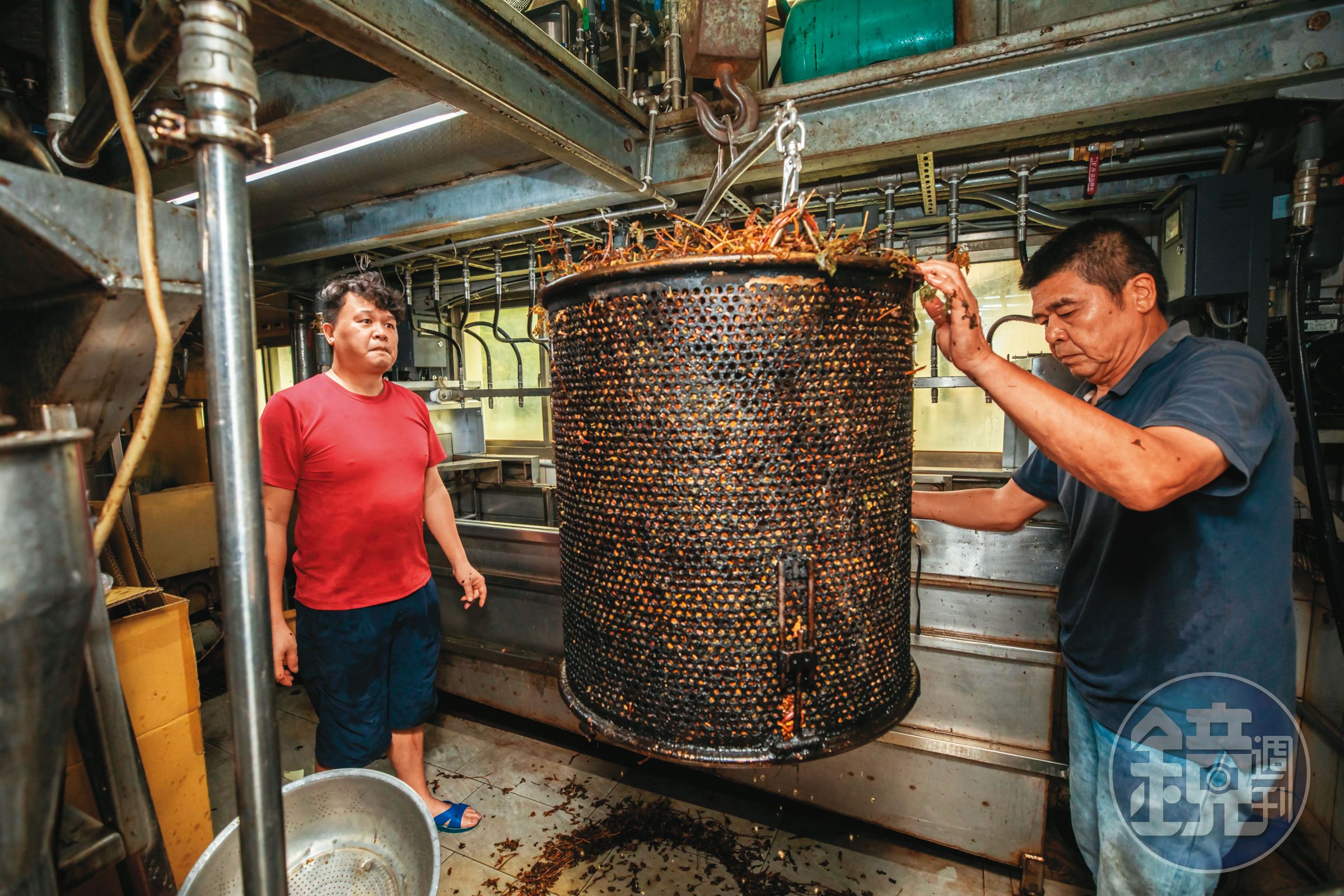 仙草製作環境濕熱，陳天智（右）與兒子陳星（左），清洗好香氣足的紅枝仙草乾準備蒸煮，2人早已汗流浹背。