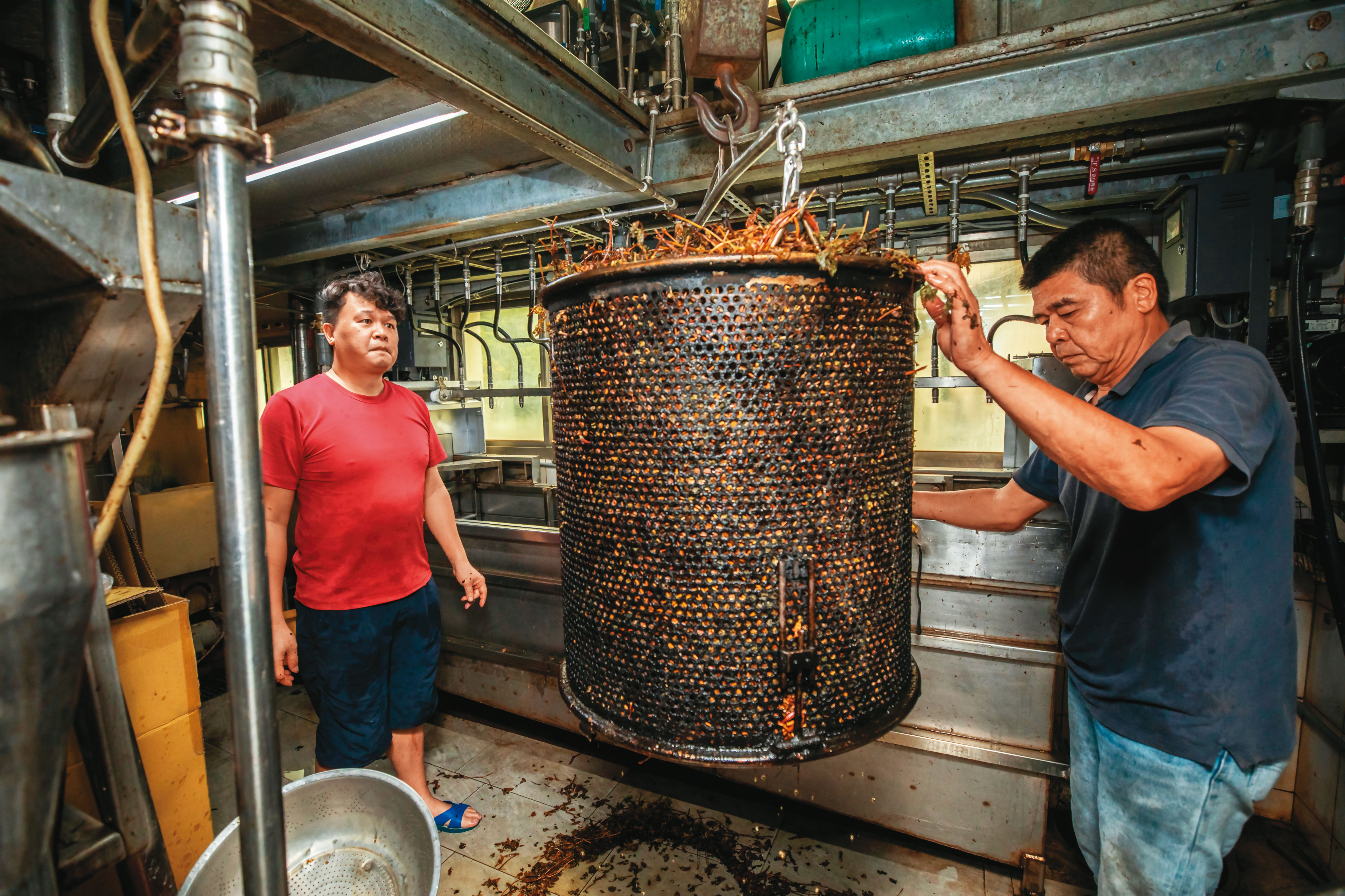 仙草製作環境濕熱，陳天智（右）與兒子陳星（左），清洗好香氣足的紅枝仙草乾準備蒸煮，2人早已汗流浹背。