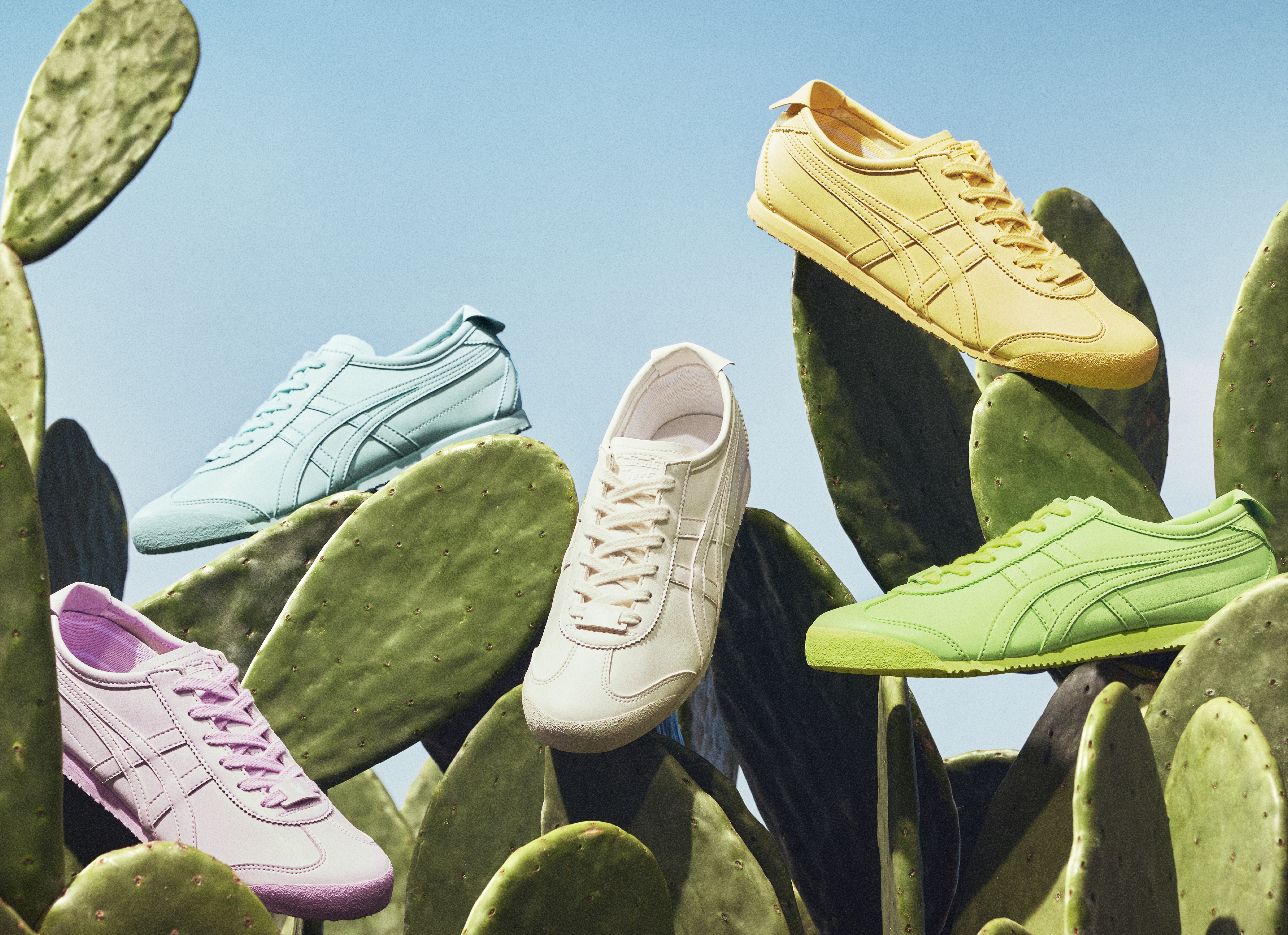 MEXICO 66 CACTFUL一共推出5種顏色；各NT$3,980。（鬼塚虎提供）