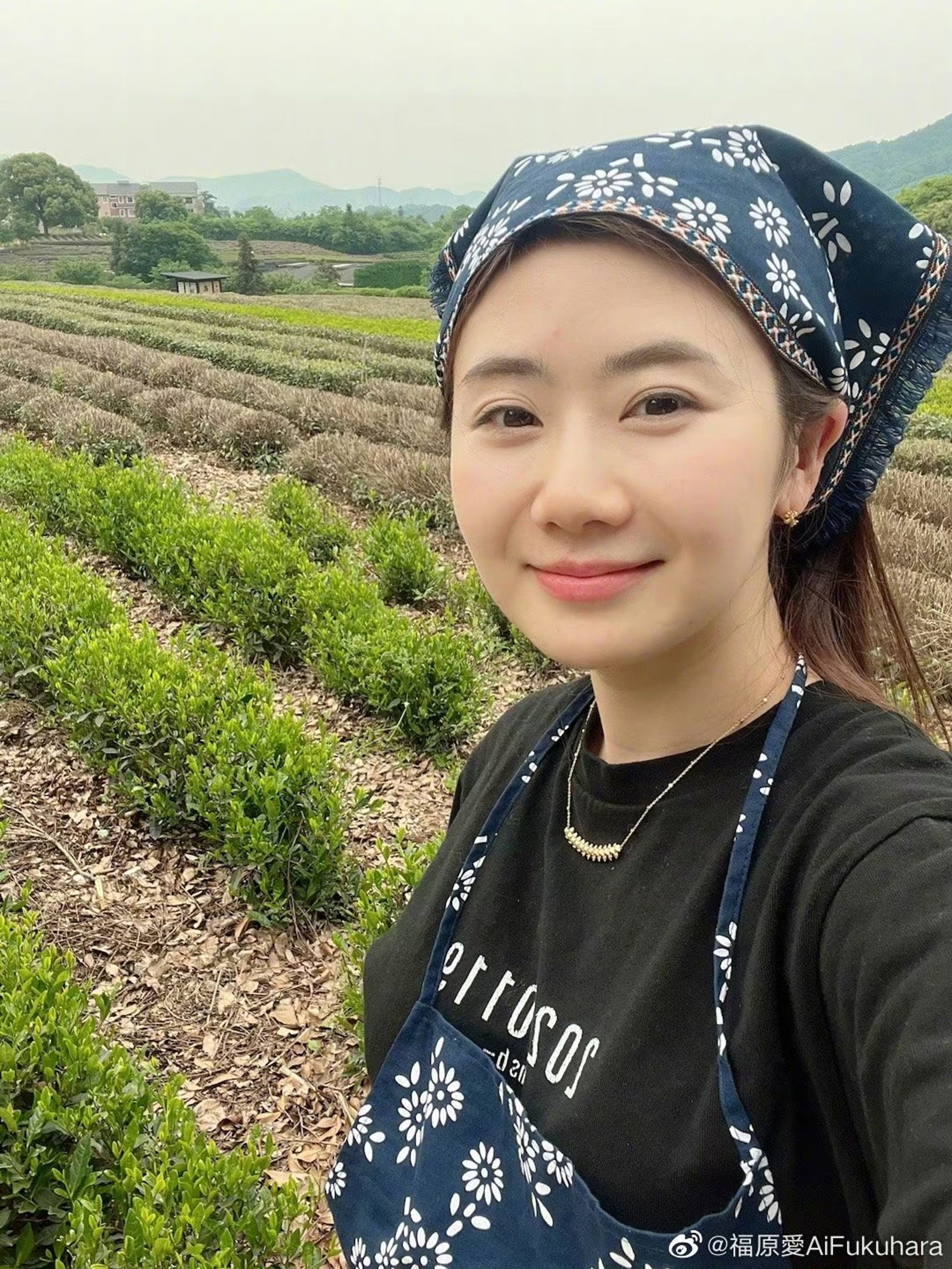 福原愛近來積極要在日本復出。(翻攝自福原愛微博)