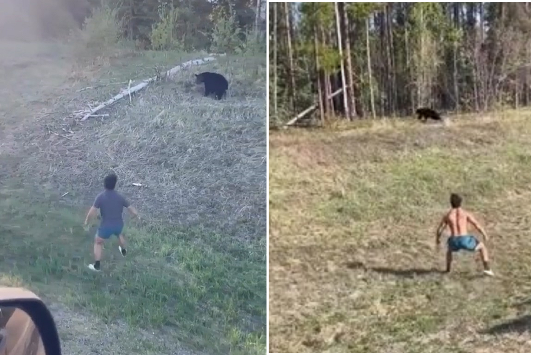 男多次惡意嚇熊還學大猩猩，這次踢到鐵板反被熊追！眾網友怒譙：盼獲更大報應。（翻自《每日郵報》）