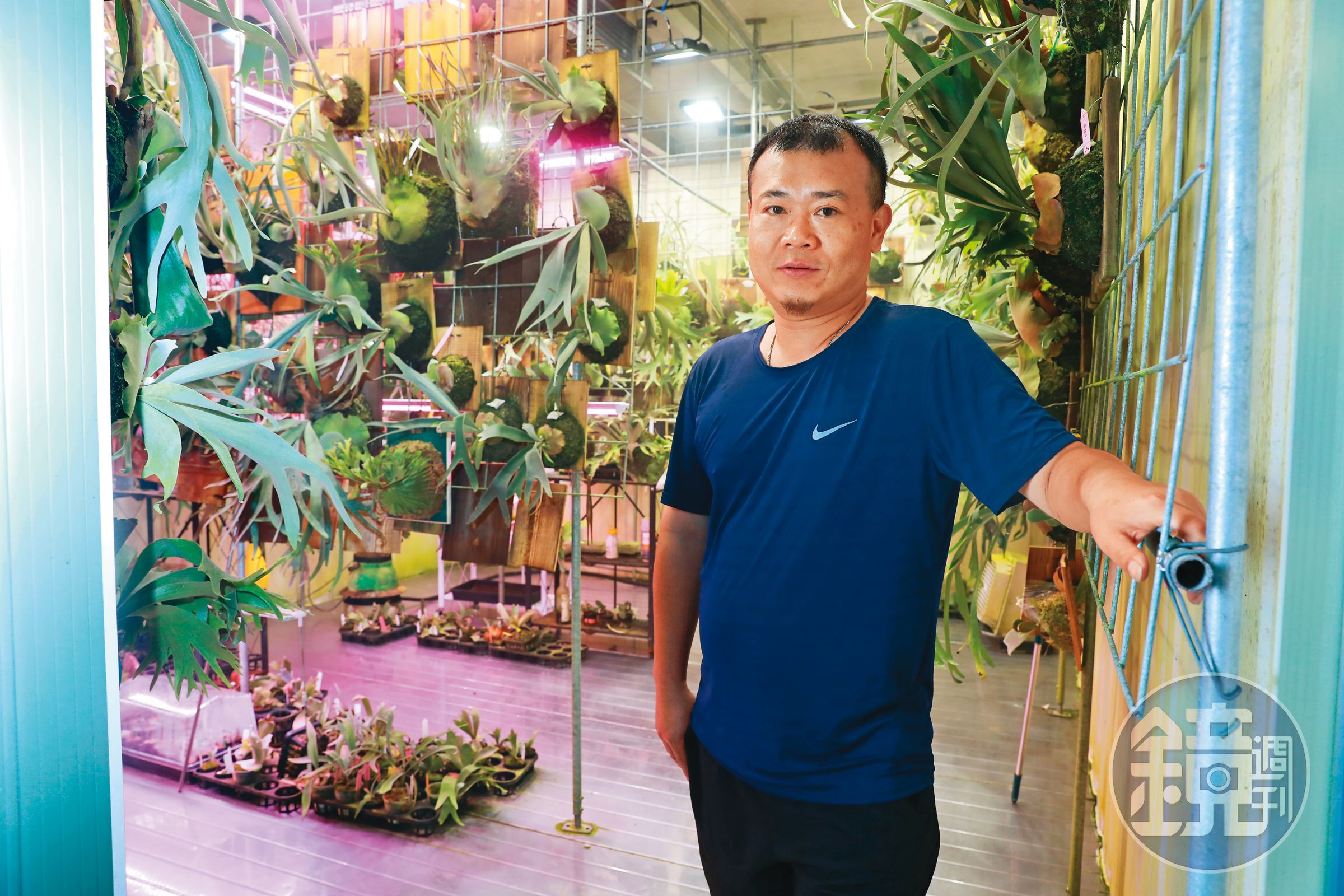 邱耀宗有一個恆溫25度的溫室貨櫃屋，專門擺放像珍妮這類高貴的植物。